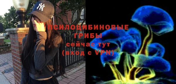 спайс Абинск