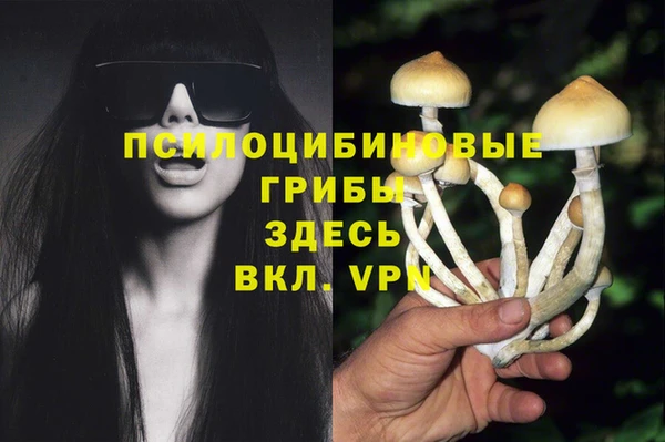 экстази Абаза