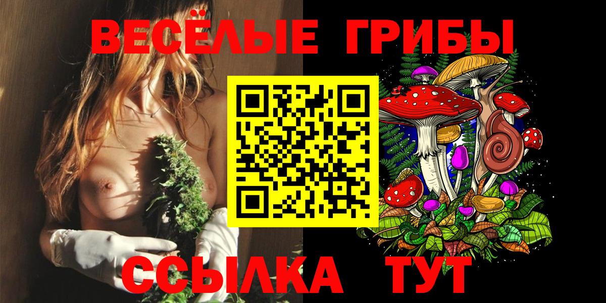цена наркотик  Псилоцибиновые грибы Magic Shrooms  Вход с VPN  Комсомольск-на-Амуре 